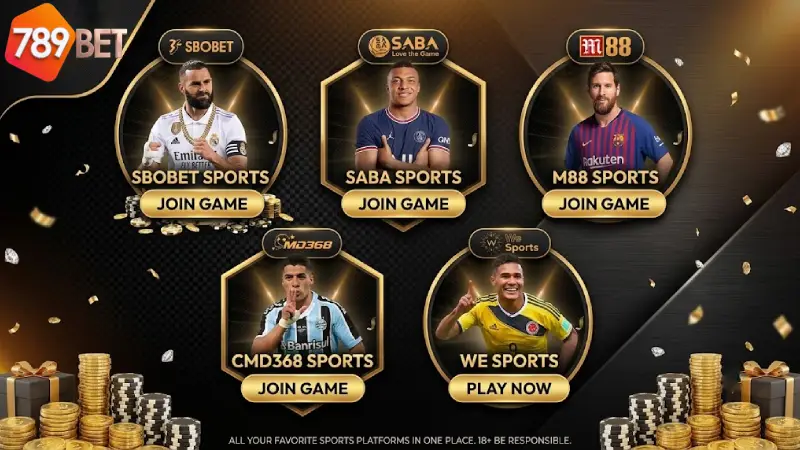 Premium Sportsbook Providers Available at Sports 789BET