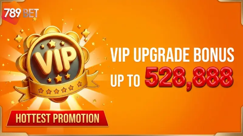 VIP Rewards and Loyalty Programs
